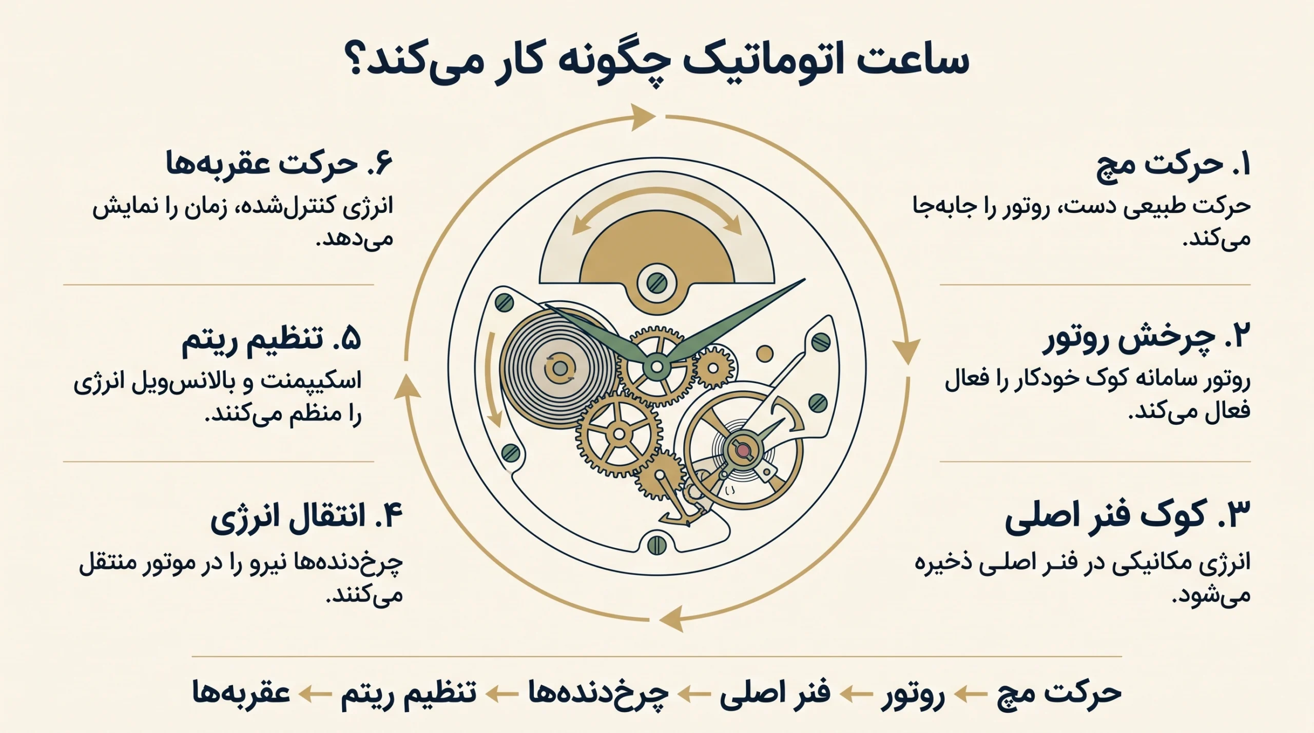 اینفوگرافیک نحوه کار ساعت اتوماتیک از حرکت مچ و روتور تا حرکت عقربه‌ها